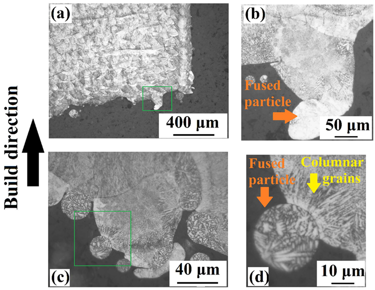 The cross-sectional OM images obtained from: (a) US-30° (×50) and (b) US-30° (×200), (c) US-45° (×1000) and (d) US-45° (×2000).