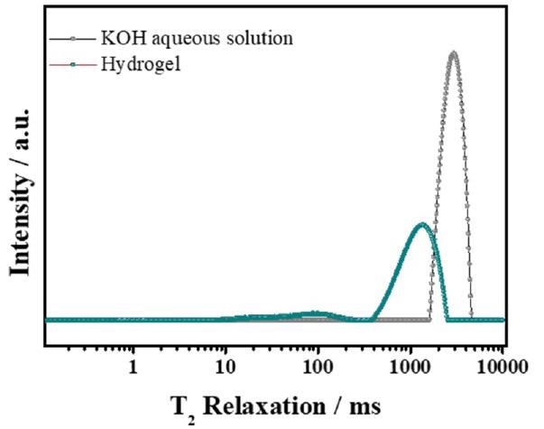 Reciprocal of spin-relaxation time of KOH aqueous solution and alkaline gel polymer electrolyte.