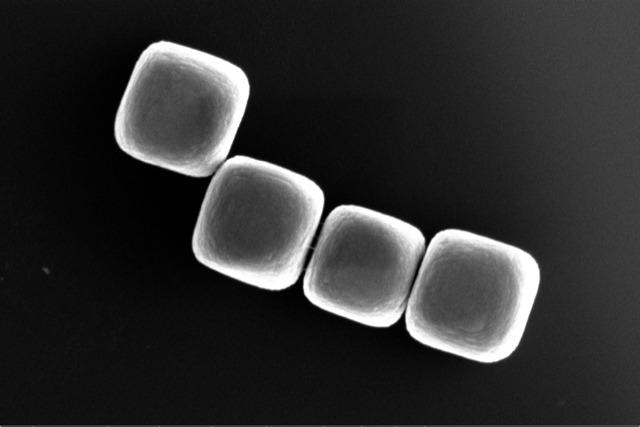 New Approach to Build Synthetic Materials Out of Tiny Glass Particles.