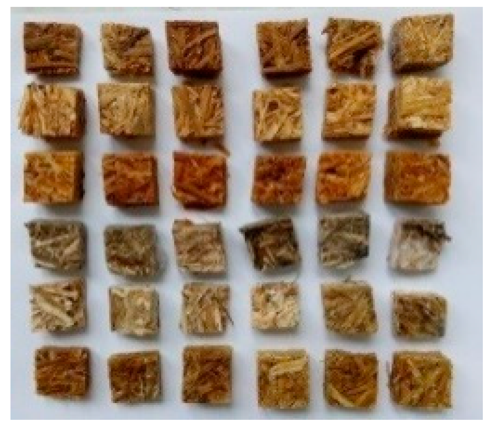 The photo of the samples covered by molds after finishing of the test (from top to bottom): glue sample, glue-H2O sample, glue-NaOH sample, epoxy sample, epoxy-H2O sample, epoxy-NaOH sample. The first three samples (from top to bottom) were sterile and the other three samples were nonsterile in each line. All samples contained straw.