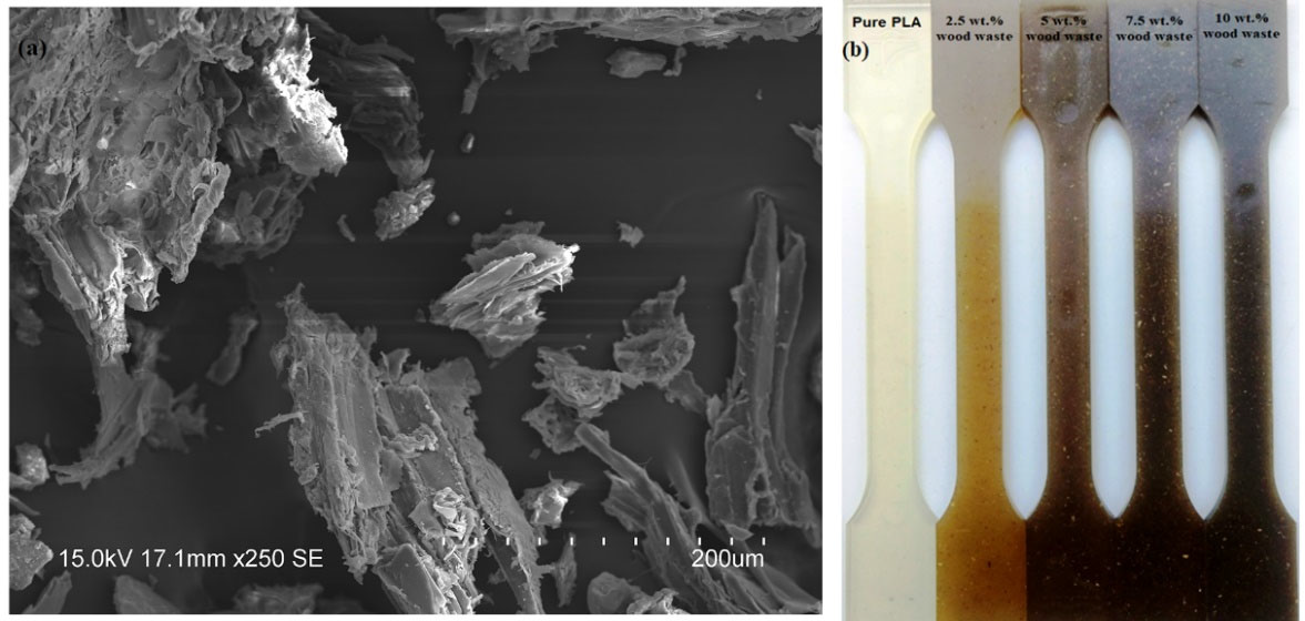 (a) SEM micrograph of North Indian rosewood waste, (b) fabricated biocomposites.