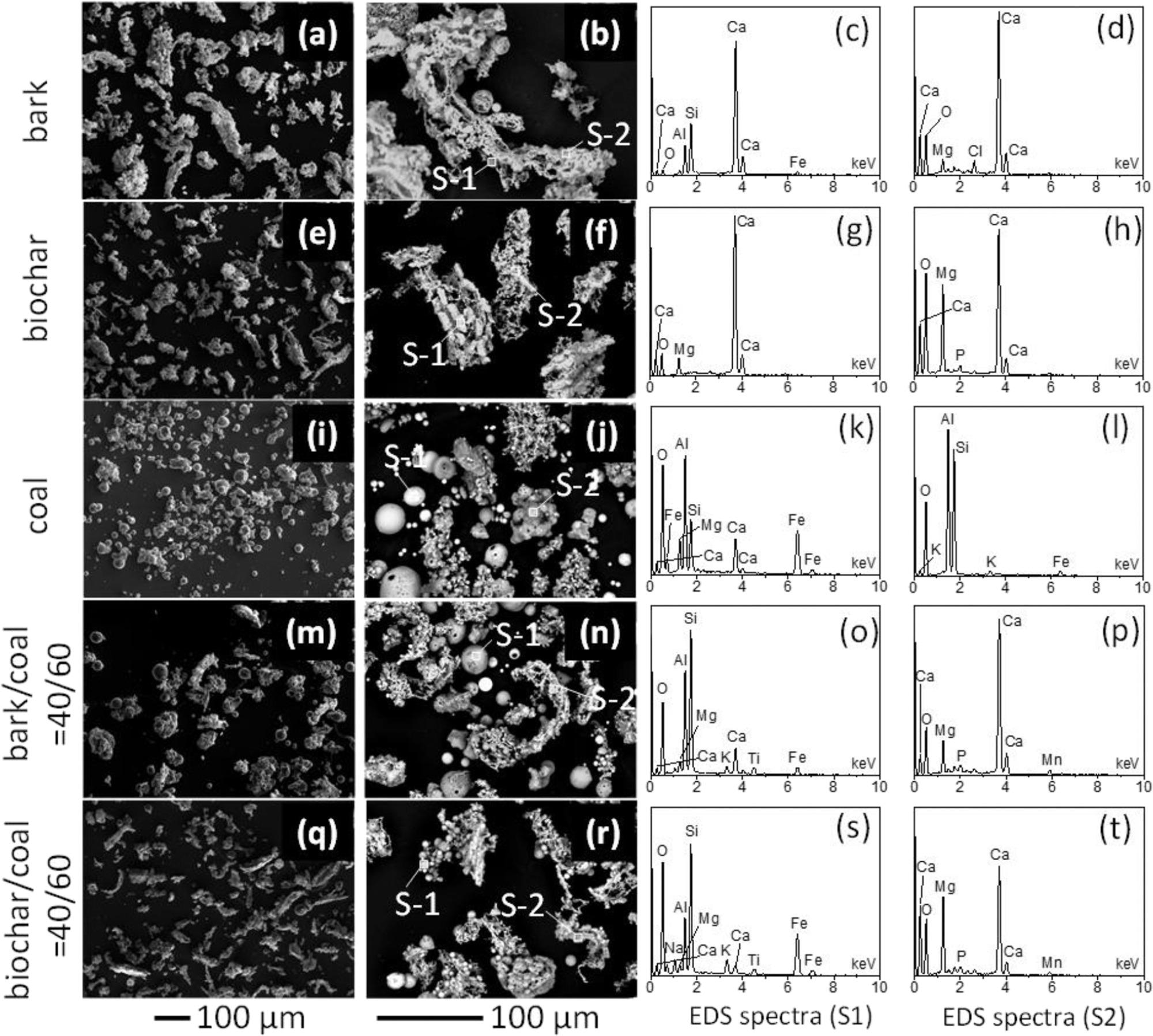 SEM images of the ashes produced from the combustion of bark (a,b), biochar (e,f), coal (i,j), bark/coal = 40/60 (m,n), and biochar/coal = 40/60 (q,r), along with their EDS spectra (c,d,g,h,k,l,o,p,s,t). It is noted that the EDS analyses are only qualitative because the ash particles were not polished.