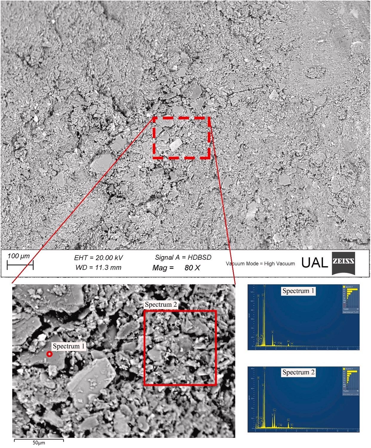 SEM-EDS of sample MM.