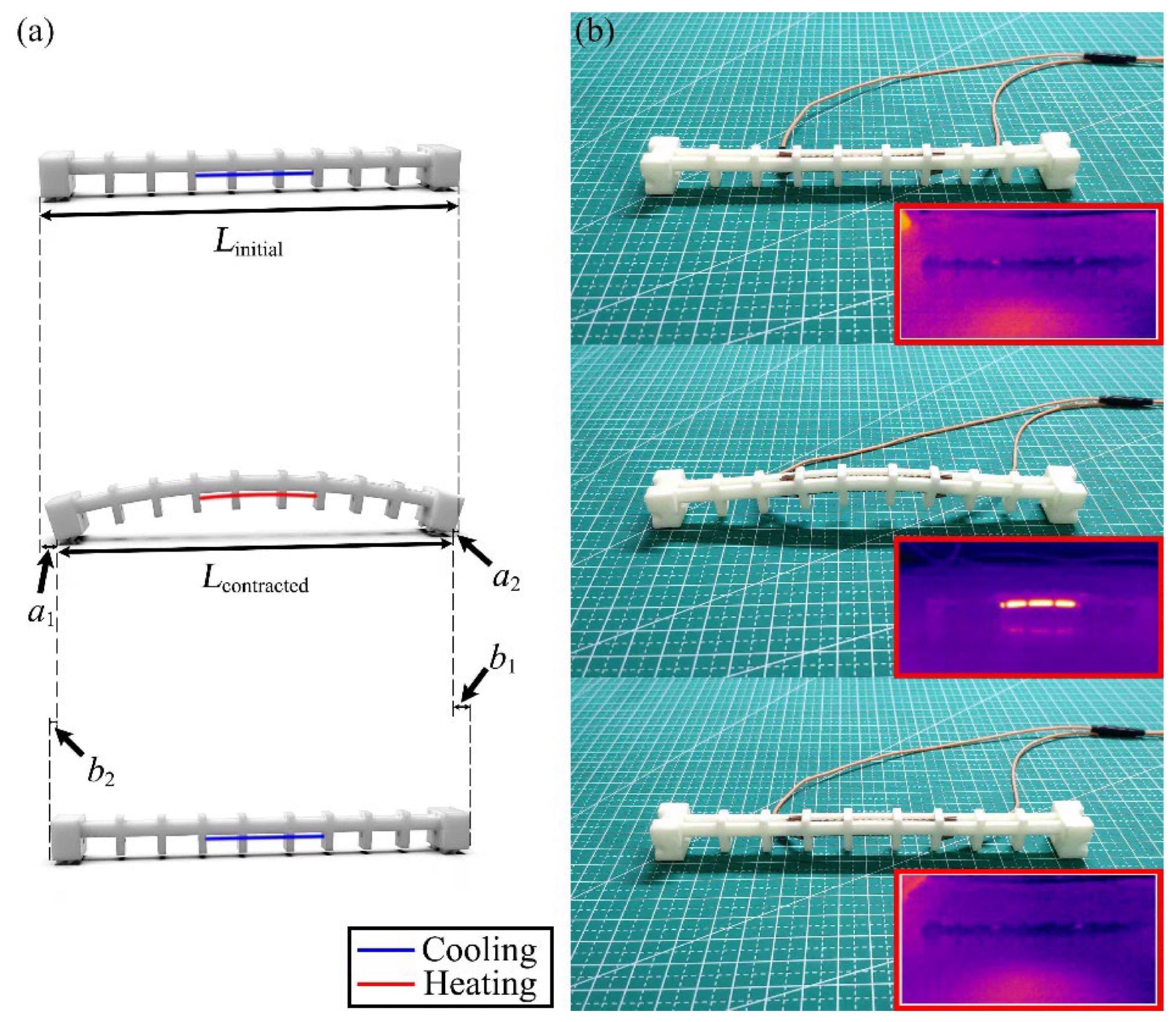 Locomotion efficiency analysis of the crawling robot. (a) Schematic diagram during one locomotion cycle of the crawling robot. The robot moves forward a short distance, accompanied by a slide. (b) The actual locomotion cycle and infrared thermograms during the locomotion of the crawling robot.