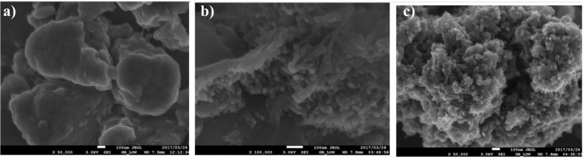 SEM images for nanocarbons carbonized at 400 °C for different time intervals (a) 2 h, (b) 3 h, and (c) 4 h. Adapted with permission from Ref. [105].