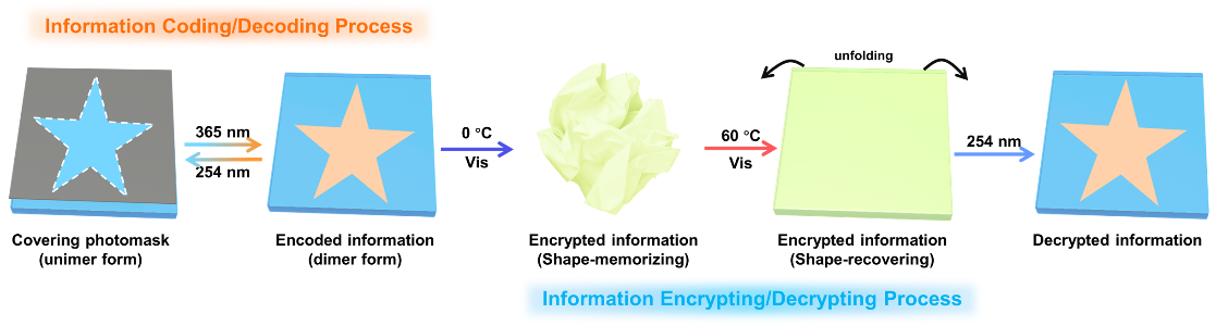 Innovative Fluorescent Organohydrogel for Dual Information Encryption.