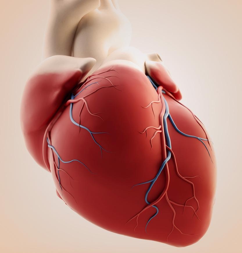 Bioengineering Heart Tissue with Nanocomposite Hydrogels