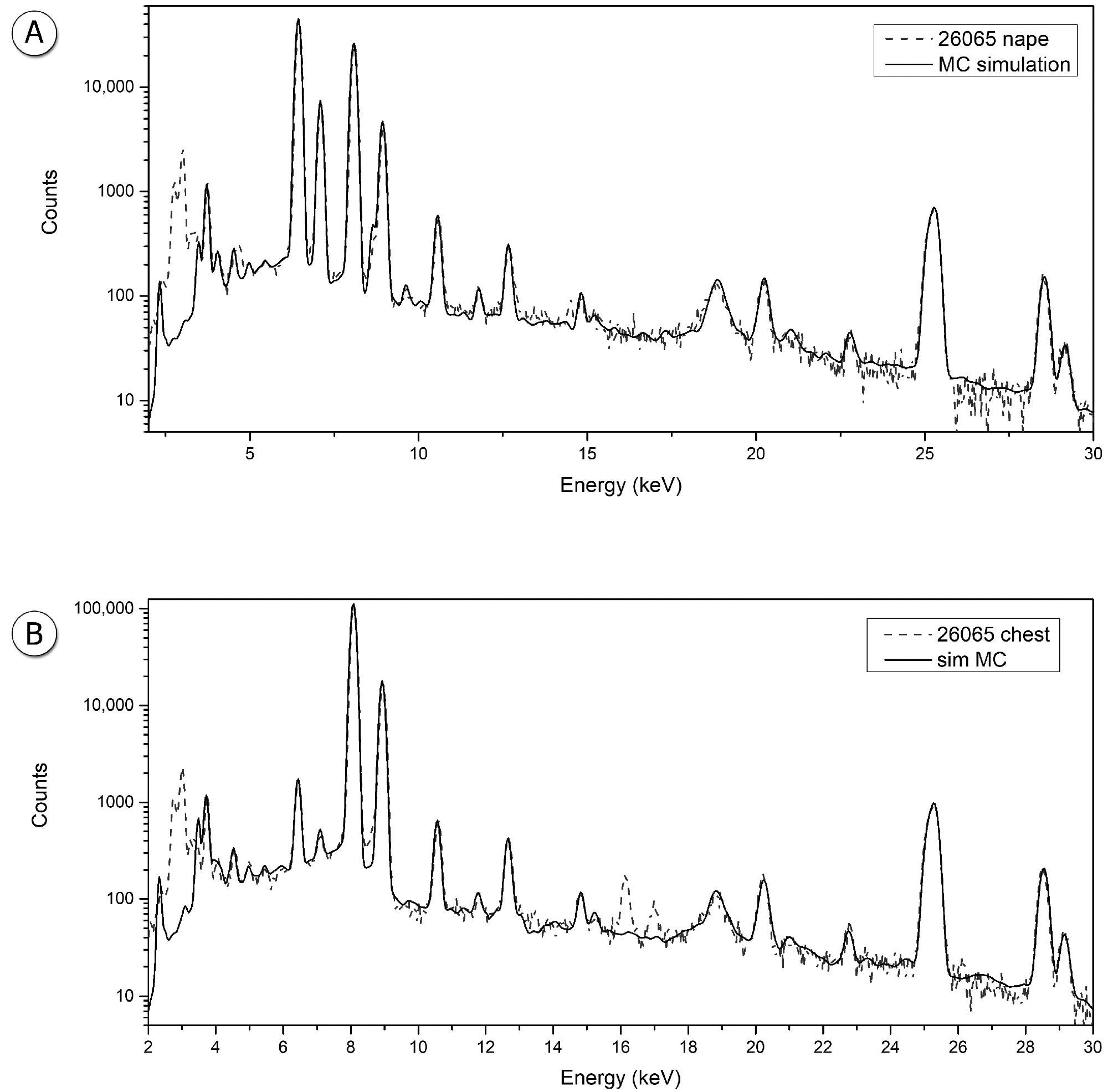 Simulated spectra superimposed to the measured one: sample #26065, (A) nape (B) and chest.