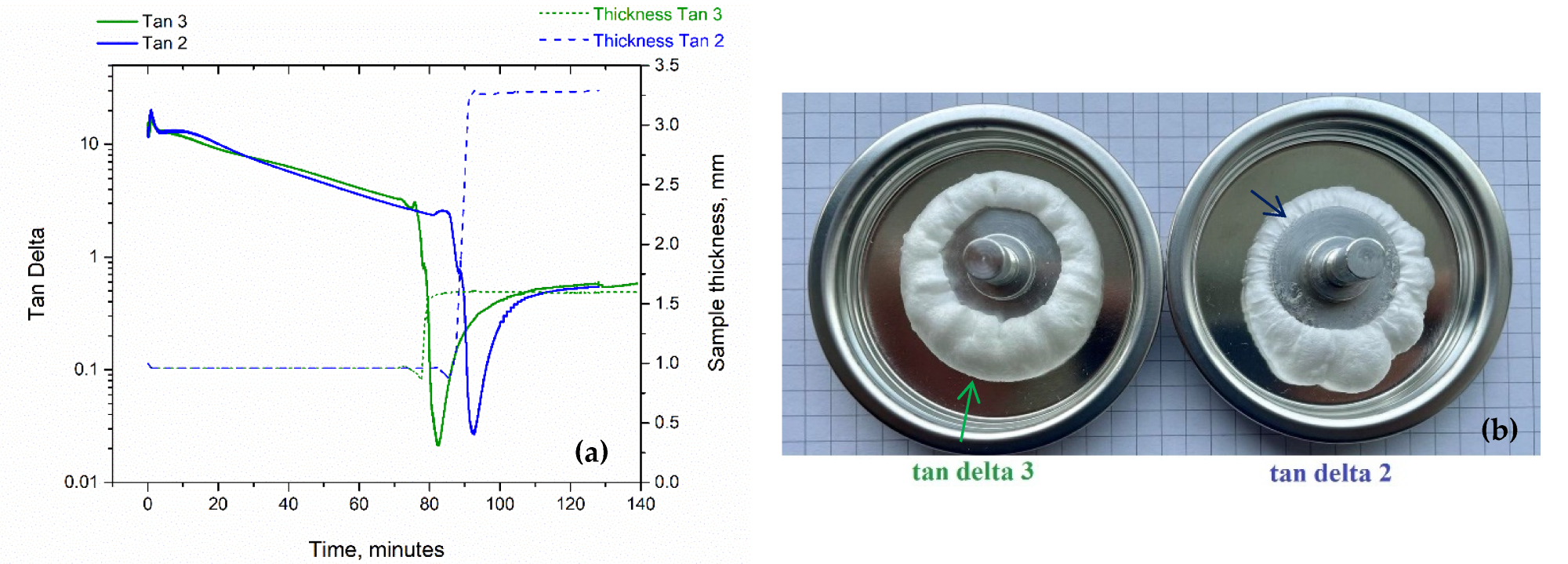 (a) Tan delta and sample thickness changing from solid state to foam versus time. (b) Rheological foam sample of tan 3 showing a soft texture, whereas tan 2 shows a rougher texture.