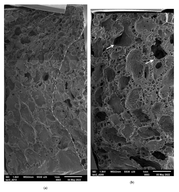 Assembled SEM of (a) EPF 212 kg/m3 made of EEB-tan 3, the dash-dot-dot line shows a fusion boundary and (b) EPF 210 kg/m3 made of EEB-tan 2.