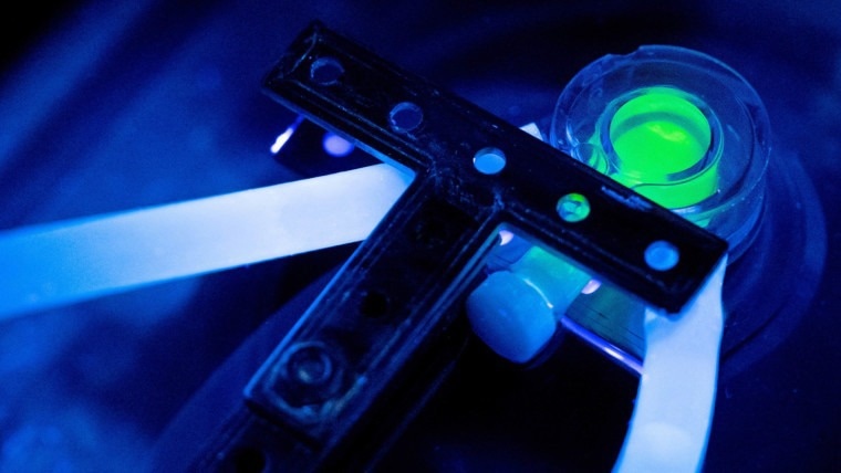 Material Scientists Develop Mechanoluminescent Material Systems That Stimulate Light Emission and Measure Temperature Utilizing Ultrasound.