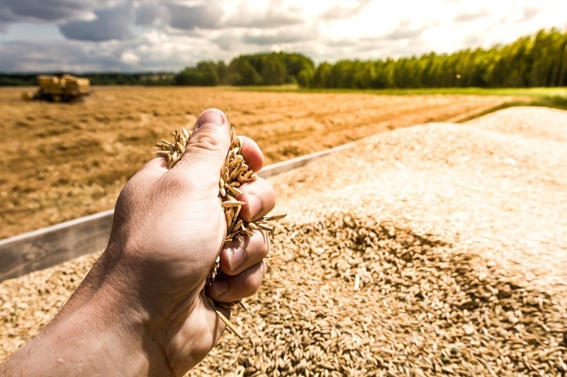 Researchers Develop Novel Polymers to Assist Farmers With Increased Agricultural Yields.