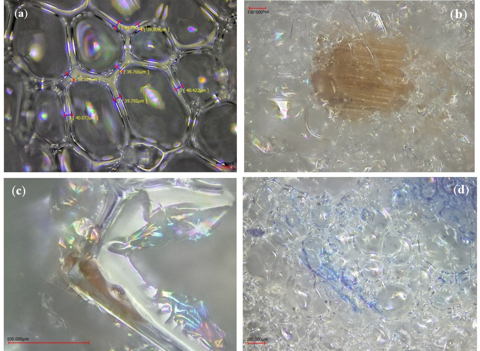 Cell morphology and fiber/matrix interaction: (a) Neat foam, (b) PUR-05, (c,d) PUR-01.