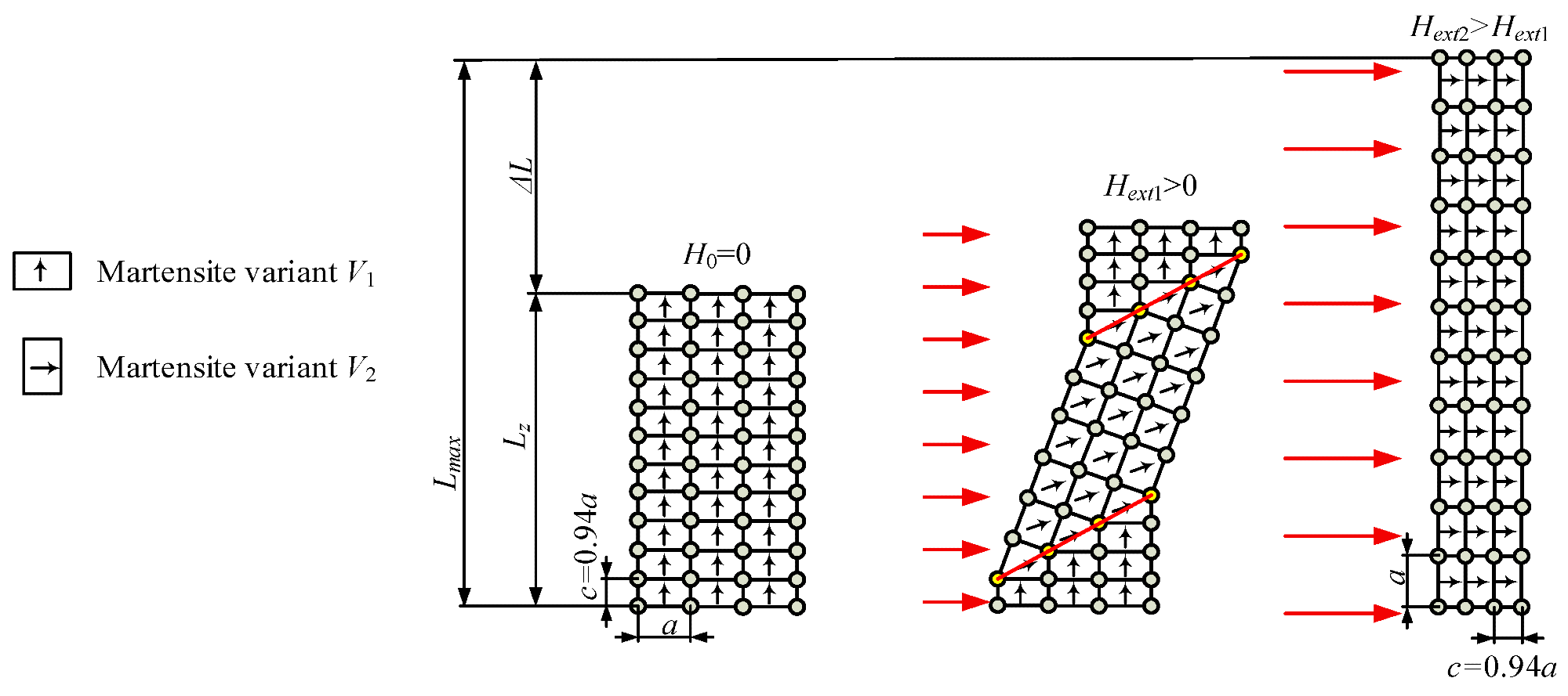 Deformation of a crystal lattice in a magnetic field, where a and c are the lengths of a single martensite cell (c = 0.94a).