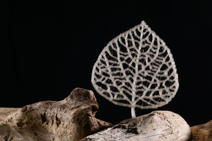 New Biomass-Derived Plastic Meets the Criteria for Replacing Several Types of Current Plastics