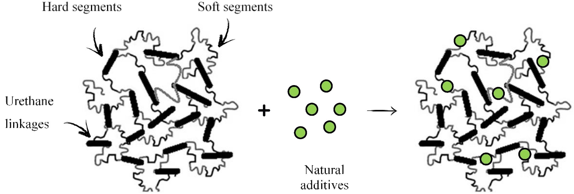The impact of the natural additives’ addition on the crosslinking density of PUR composites.