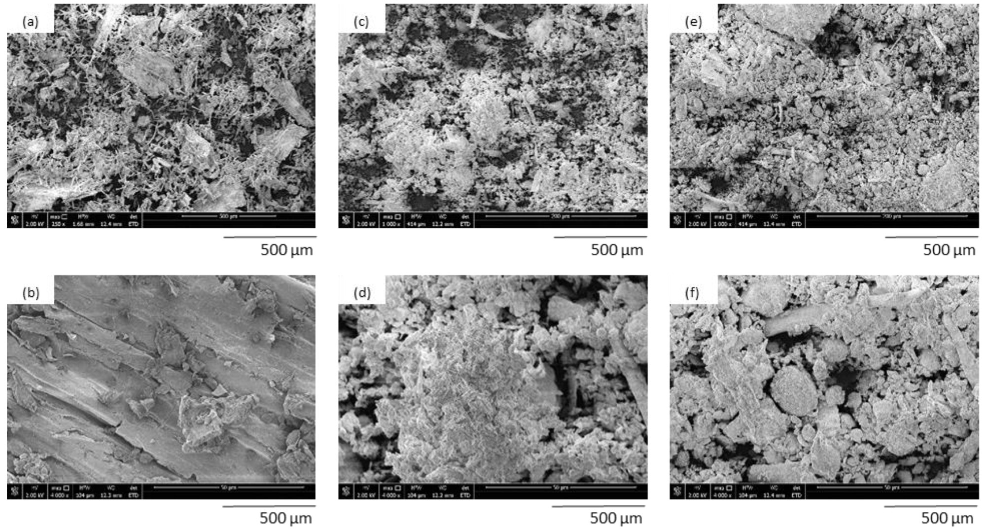 SEM images of lavender fillers: (a,b) non-functionalized lavender, (c,d) lavender functionalized with kaolinite, (e,f) lavender functionalized with hydroxyapatite.
