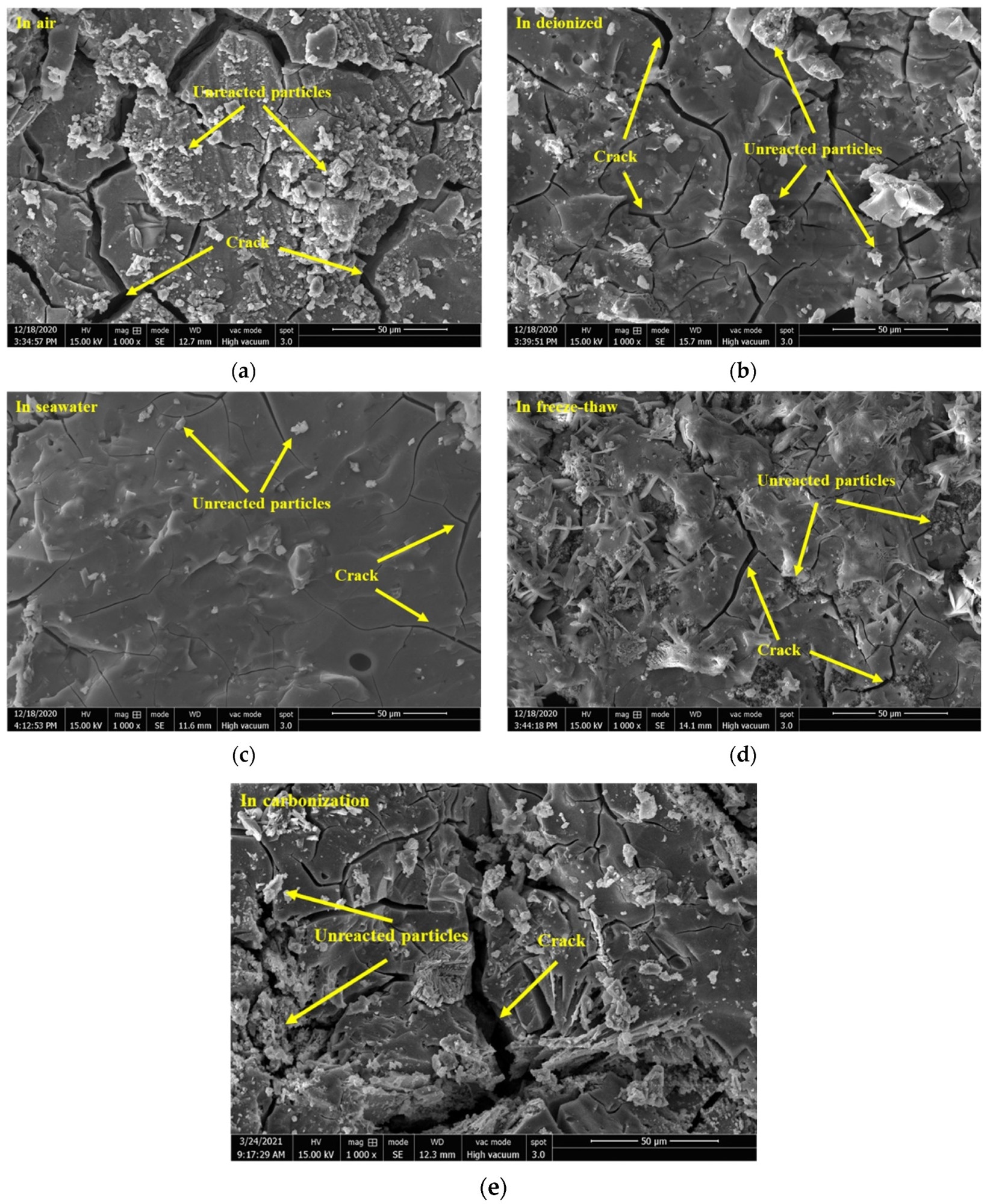 SEM images of the geopolymers prepared with 60% BFS subjected to different exposure.