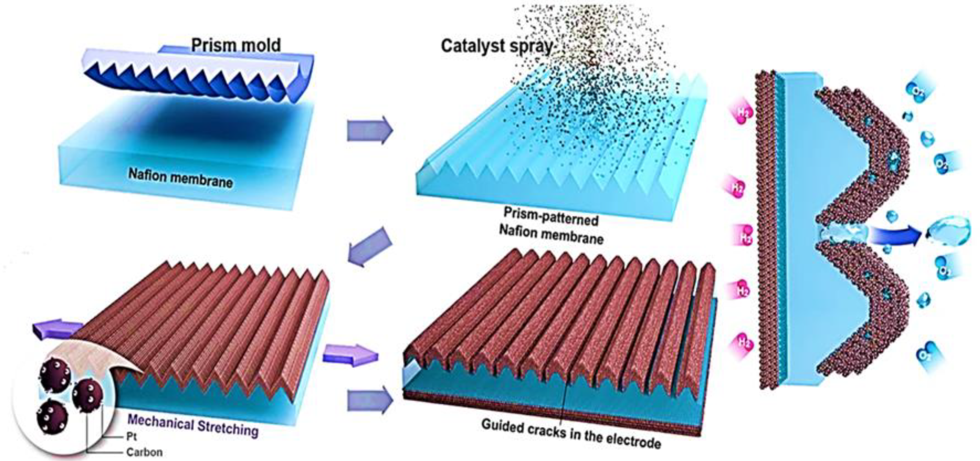 Schematic diagram of membrane electrode assembly [37] (open access).