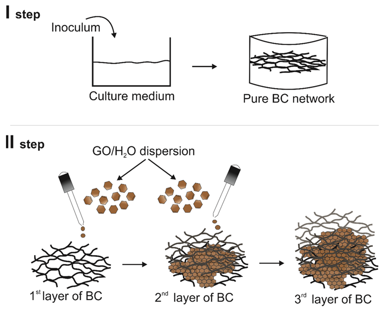 The process of obtaining modified BC.