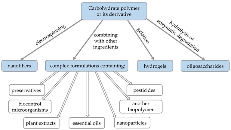 Alternative modification methods of carbohydrate polymers which can be used in the process of preparing antifungal plant protection formulations.