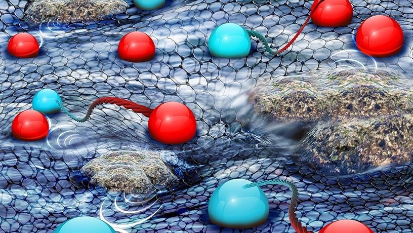 Novel Semiconductor That Challenges Traditional Physics Concepts.