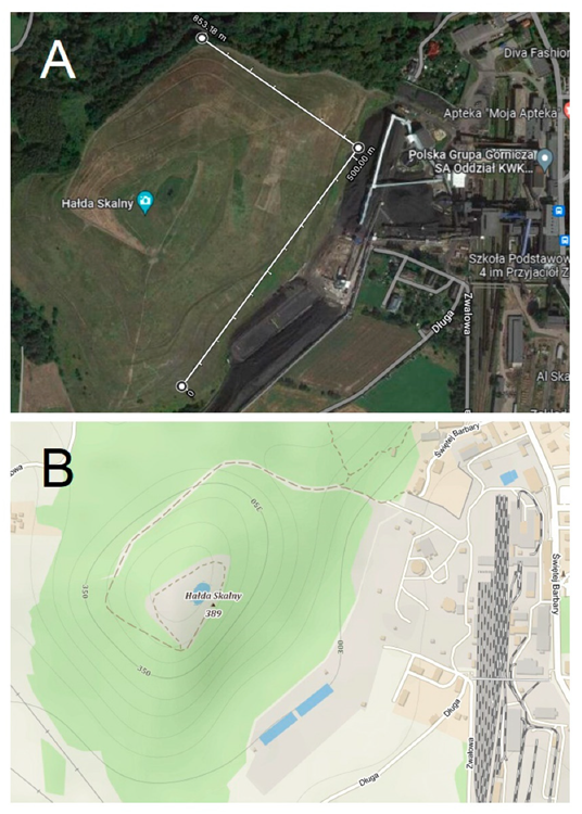 Map of “Halda Skalny” coal waste heaps (Laziska Górne, Silesia, Poland). (A)—satellite view (source: Google Maps), (B)—topographic view (source: openstreetmap.org, Open Database License).