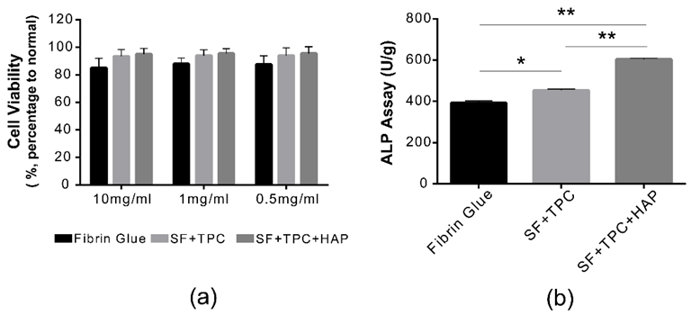 Functional analysis. (a) Cell viabilities were measured in both undiluted (10 mg/mL) and diluted states (1 mg/mL and 0.5 mg/mL) of both fibrin and silk fibroin proteins. There was no difference in cell viability among conventional fibrin glue, silk fibroin protein in skin (SF + TPC), or silk fibroin protein in bone (SF + TPC + HAP). There was no cytotoxicity at 10 mg/mL. (b) ALP activity was presented as U/g in each group of fibrin, SF + TPC, and SF + TPC + HAP. SF, silk fibroin; TPC, tannic acid, and polyethylene glycol 2000 as curing agents; HAP, hydroxyapatite. n = 5, * p < 0.05; ** p < 0.001.
