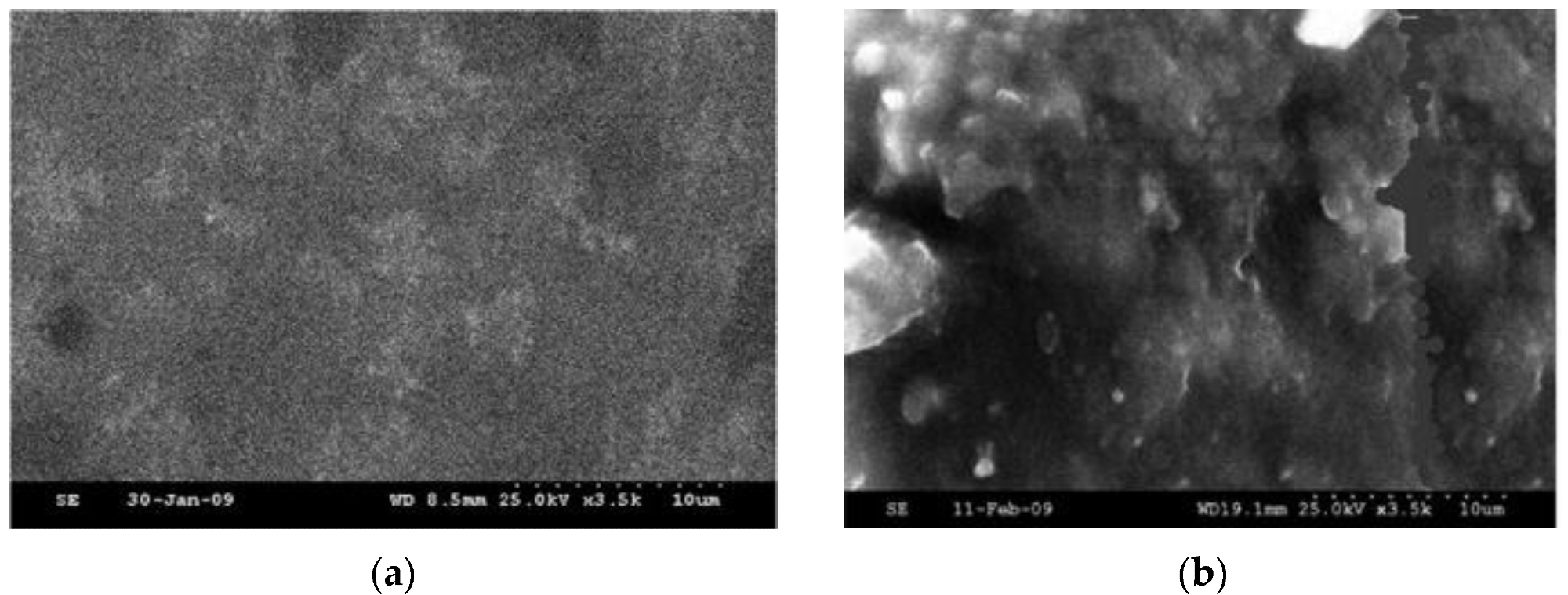 (a) Micrograph of resin (b) Micrograph of resin combined with hardener [35].