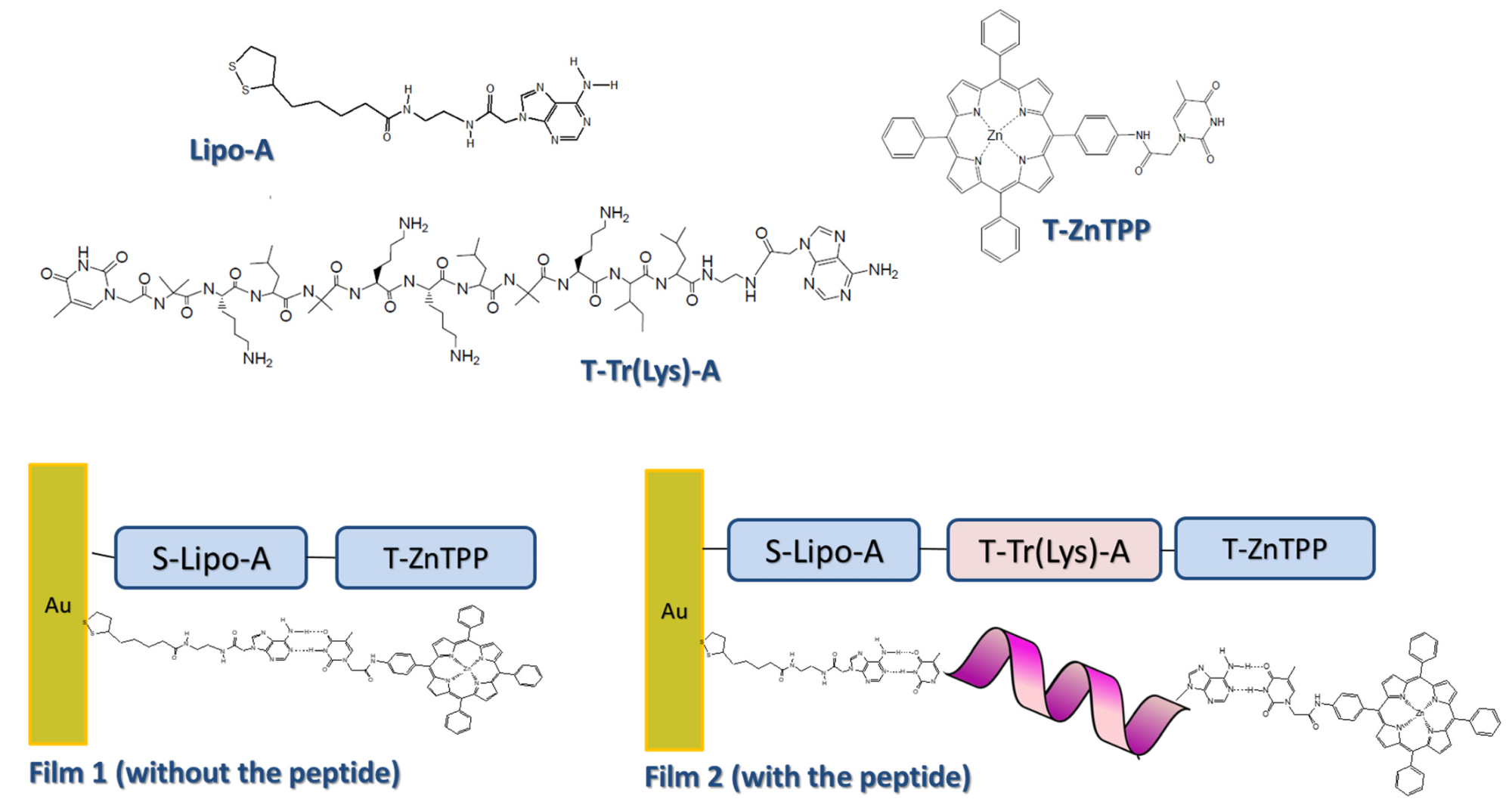 Chemical structures of the building blocks used for the construction of films reported in ref. [85].