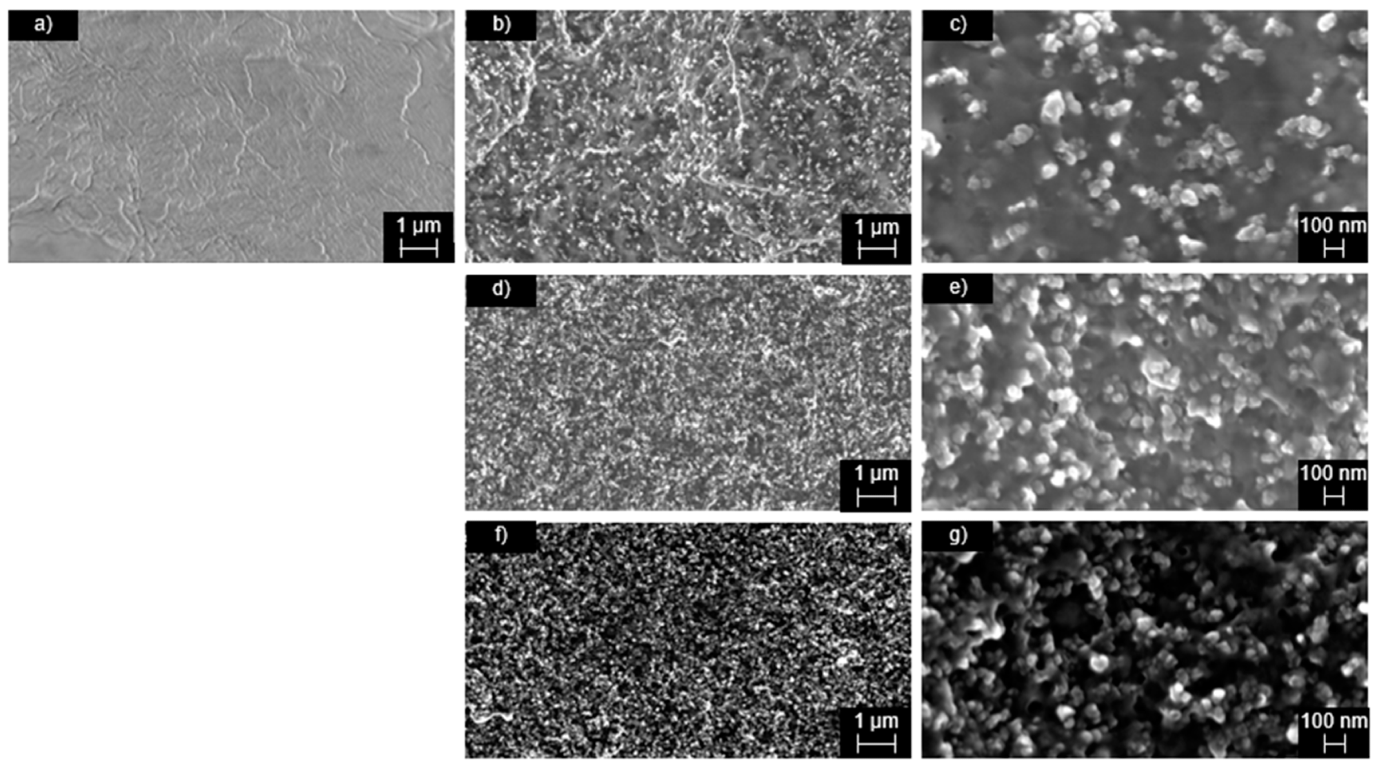SEM images of neat PA 6.10 (a), 20 wt.% CB I (b,c), 20 wt.% CB II (d,e) and 20 wt.% CB III (f,g). (a,b,d,f) are shown with a magnification of 10.0 k, while (c,e,g) shown with a magnification of 50.0 k.