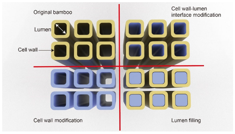 A selection of structural modification strategies to improve TB functionality (inspired by Burgert et al. [62]).