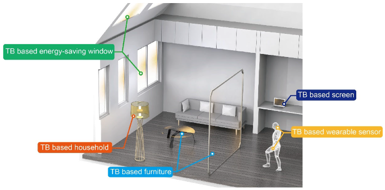 Design of a future integrated application of TB.