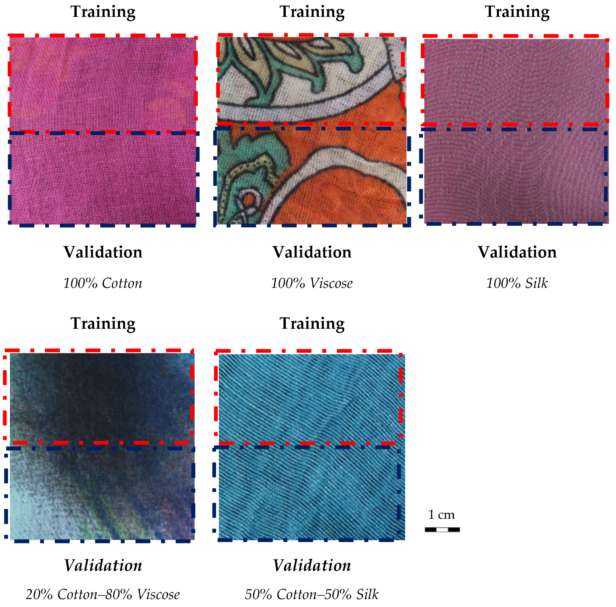 Regions of Interest (ROIs) used to create the training (red dotted area) and the validation (blue dotted area) images for each experimental set-up.