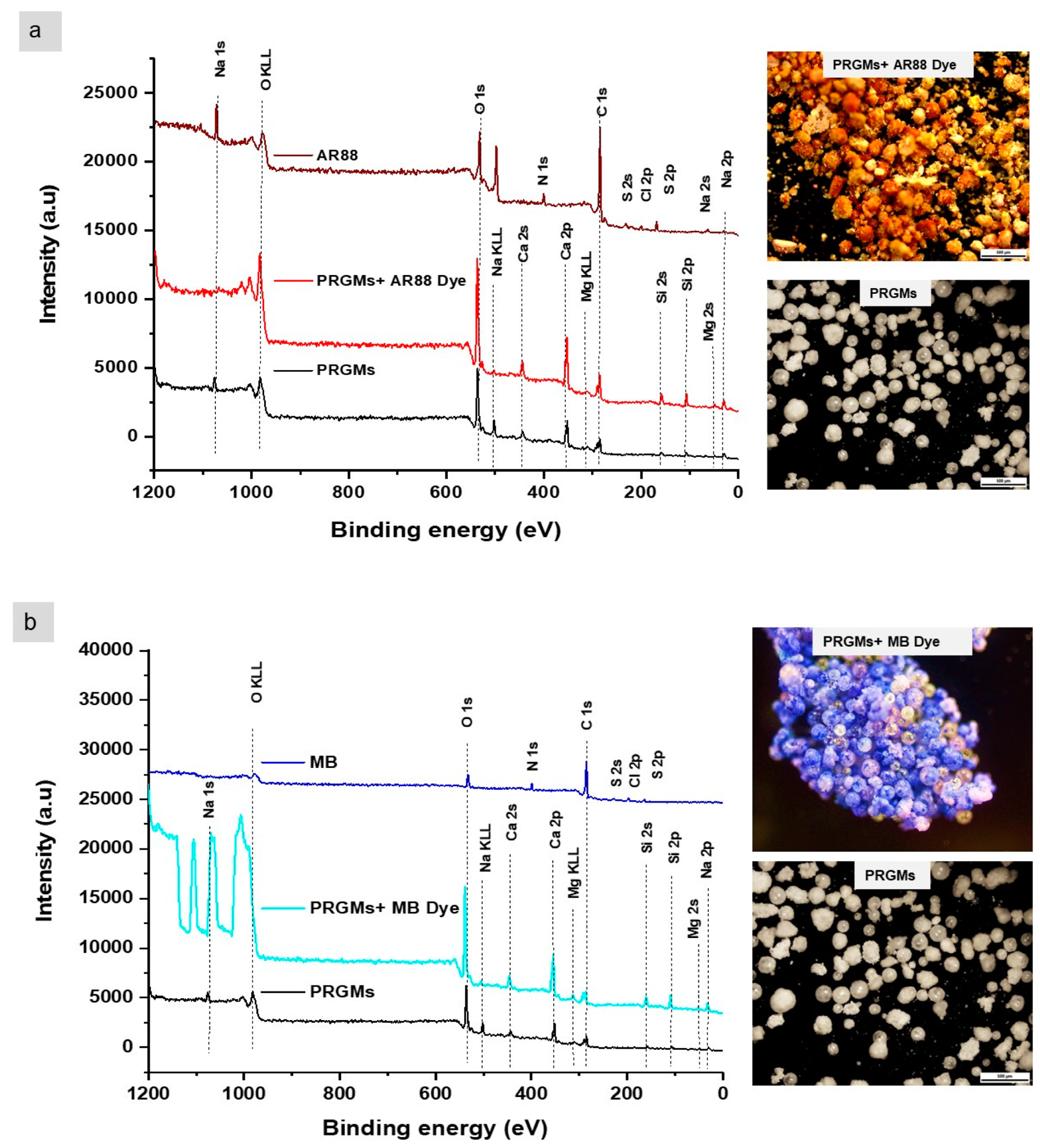An XPS survey scan and optical microscopy images for PRGMs before and after (a) AR88 and (b) MB dye adsorption.