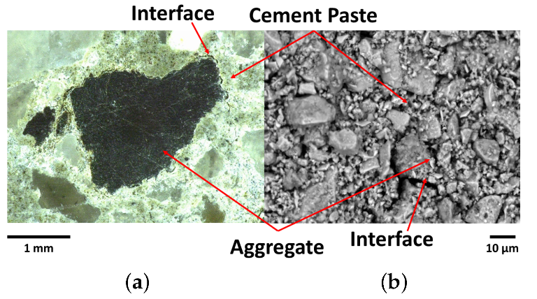 Group 1: investigation of the interactions between the aggregate and cement-based matrices by image analyzes: zommed-in views for (a) macaúba endocarp and (b) river sand embedded in cement paste.