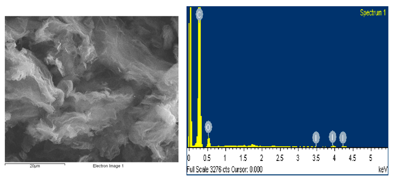 SEM microstructure and energy dispersive X-ray spectroscopy spectrum of prepared I-doped graphene oxide
