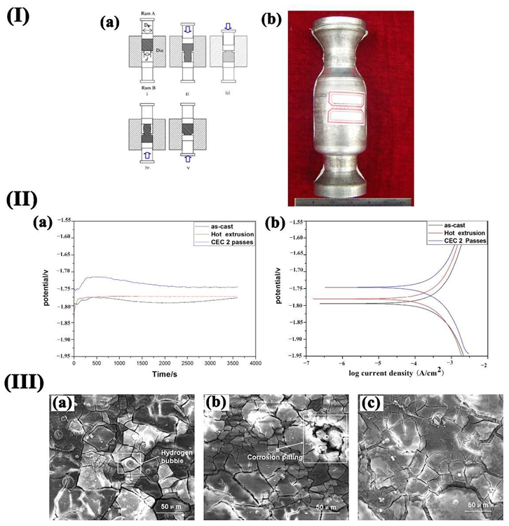 (I) (a) Schematic illustration of the CEC procedure; (b) 2 passes CEC specimen; (II) OCP (a) and Tafel (b)curves of various samples in SBF solution at 37 °C: (III) SEM images of samples after immersion for 48 h: (a) as-cast, (b) hot extruded, (c) CEC 2 passes.