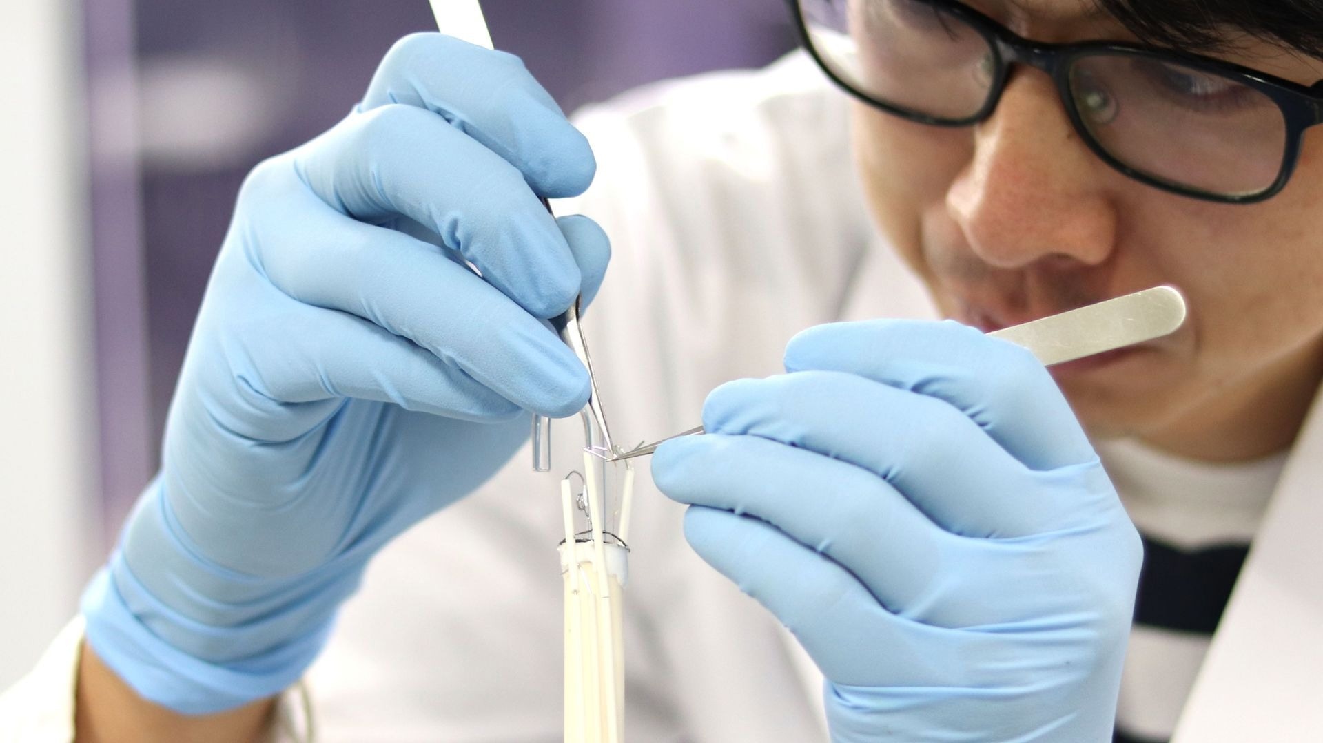 Minimizing Strain to Maximize Cell Performance