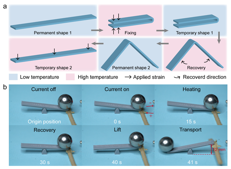 Weight transport by shape memory PEEK. (a) The programming of actuated PEEK sample. (b) The experiment process of weight transport.