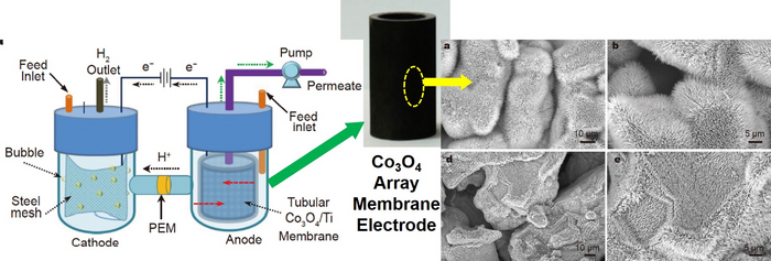 Electrochemical Pathway Produces Hydrogen in Wastewater