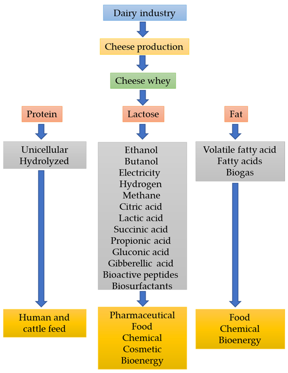 Biorefinery concept of cheese whey.