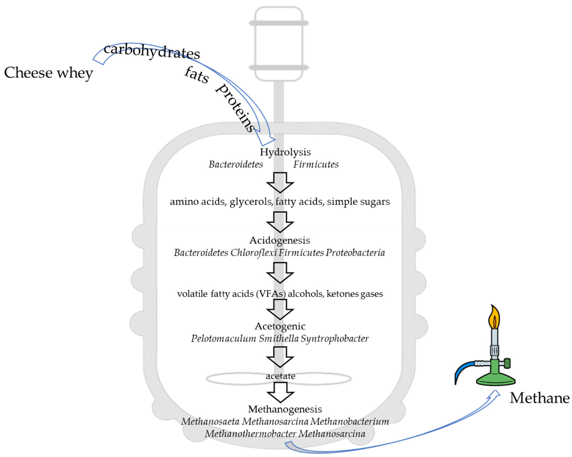 Main steps involved in anaerobic digestion processes.