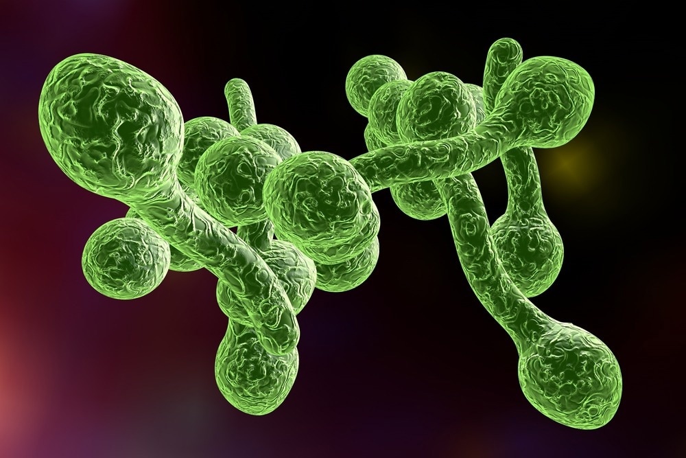 Creating Metal-Based Antibiotics to Fight Harmful Fungal Infections