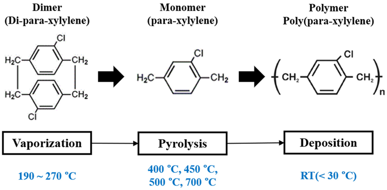 Molecular structure and schematic mechanism for the chemical vapor deposition process of visible parylene-C.