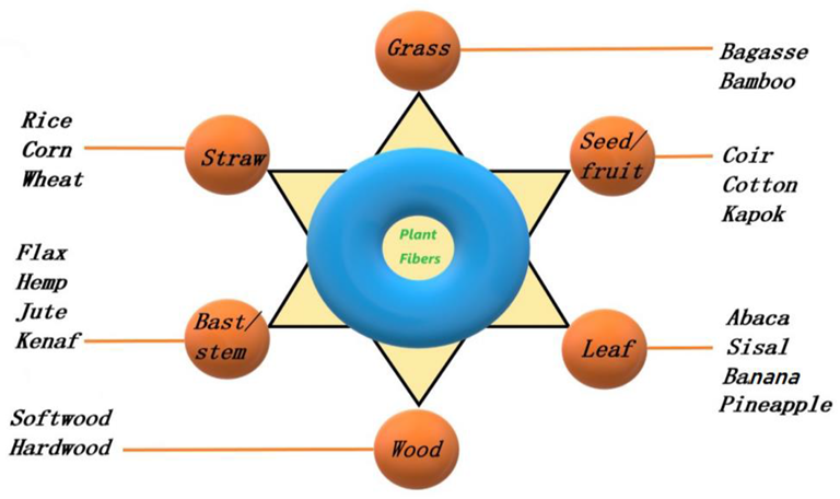 Classification of commonly used PFs.