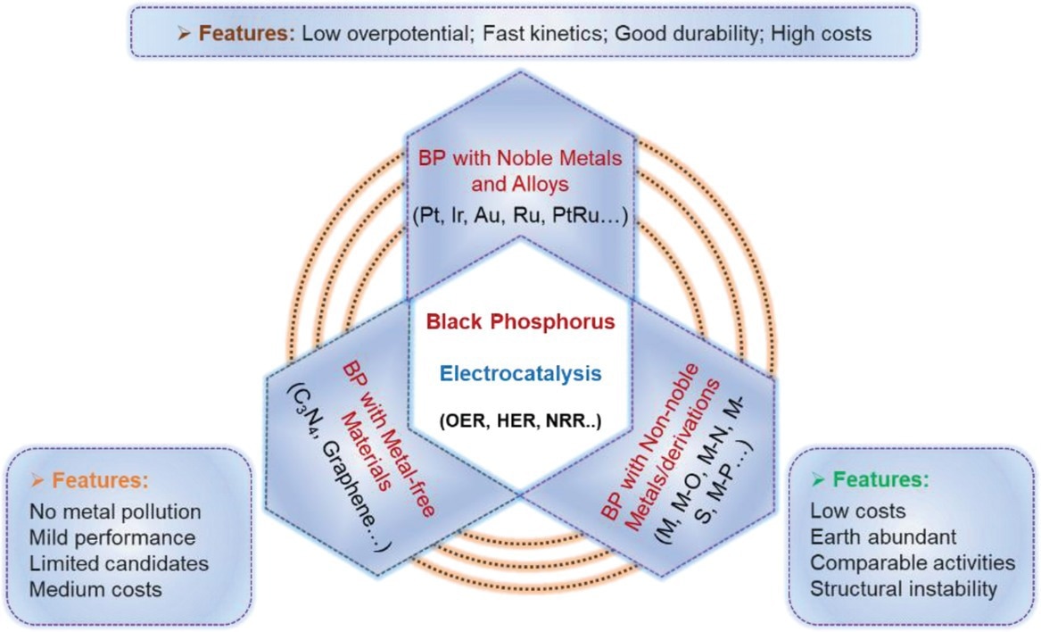 Schematical illustration of three primary types of BP-derived catalysts and their main features for electrocatalysis.