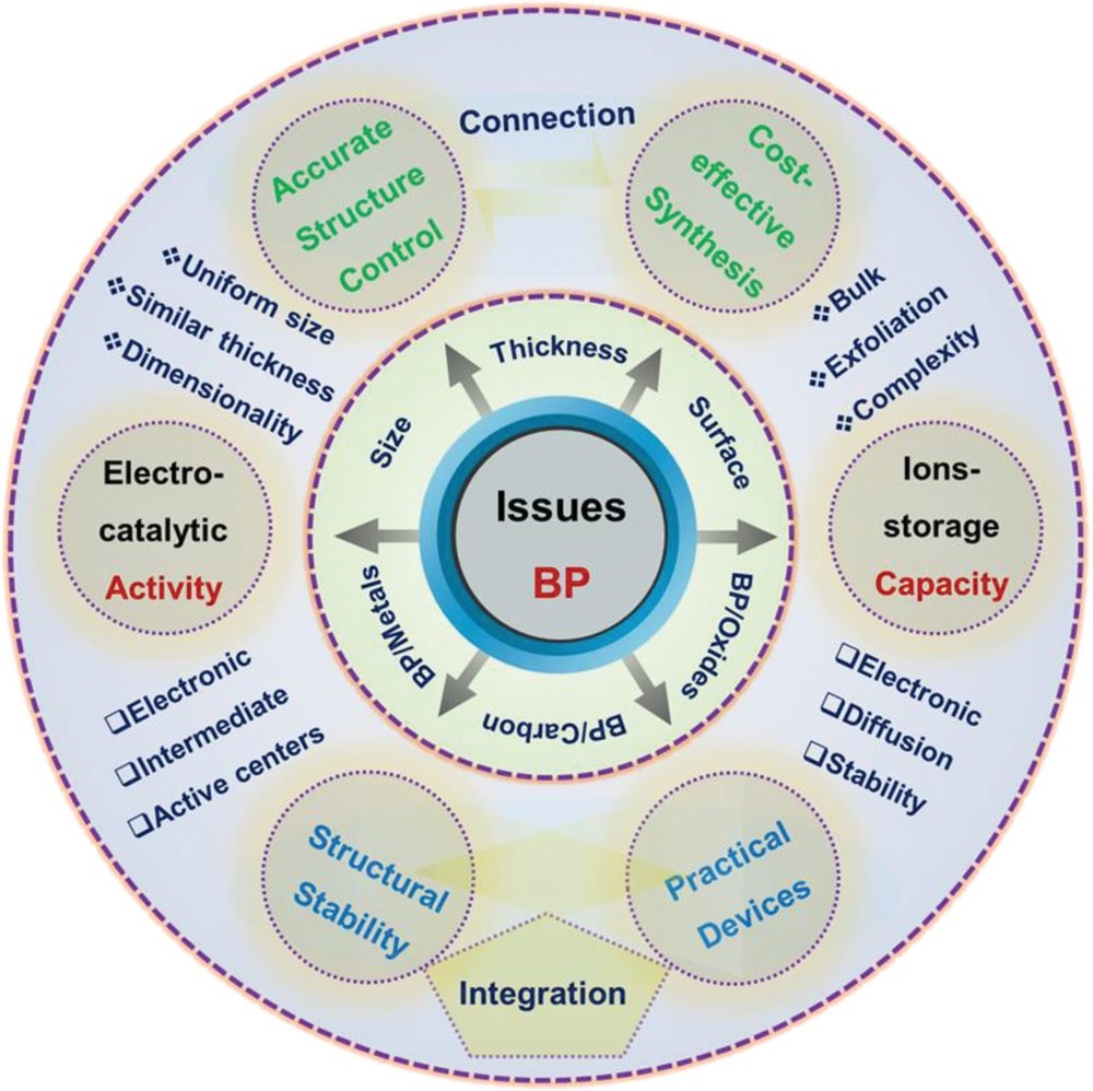 Schematic illustration of key issues for BP and its derivations for electrocatalysis and rechargeable batteries.