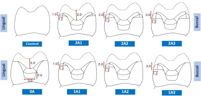 Illustrations of the various preparation designs in this study.