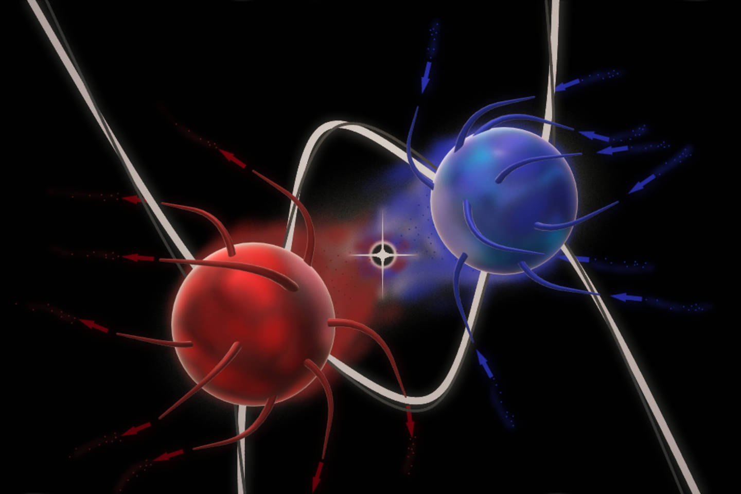 Systematic Exploration of Electronic Topology.